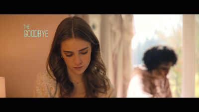 Hello_Goodbye_and_Everything_In_Between_mkv0755.jpg