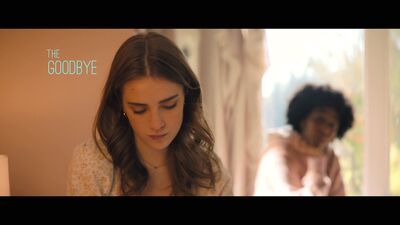 Hello_Goodbye_and_Everything_In_Between_mkv0756.jpg