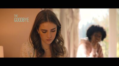 Hello_Goodbye_and_Everything_In_Between_mkv0757.jpg