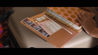Hello_Goodbye_and_Everything_In_Between_mkv0879.jpg