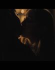 Filename=Hello_Goodbye_and_Everything_In_Between_mkv0570.jpg
Filesize=413KiB
Dimensions=1920x1080
Date added=Jul 07, 2022 Hello_Goodbye_and_Everything_In_Between_mkv0570.jpg