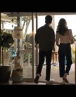 Filename=Hello_Goodbye_and_Everything_In_Between_mkv0918.jpg
Filesize=826KiB
Dimensions=1920x1080
Date added=Jul 07, 2022 Hello_Goodbye_and_Everything_In_Between_mkv0918.jpg
