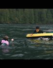 Filename=Hello_Goodbye_and_Everything_In_Between_mkv1821.jpg
Filesize=865KiB
Dimensions=1920x1080
Date added=Jul 07, 2022 Hello_Goodbye_and_Everything_In_Between_mkv1821.jpg