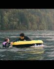 Filename=Hello_Goodbye_and_Everything_In_Between_mkv1824.jpg
Filesize=929KiB
Dimensions=1920x1080
Date added=Jul 07, 2022 Hello_Goodbye_and_Everything_In_Between_mkv1824.jpg