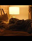 Filename=Hello_Goodbye_and_Everything_In_Between_mkv4009.jpg
Filesize=703KiB
Dimensions=1920x1080
Date added=Jul 07, 2022 Hello_Goodbye_and_Everything_In_Between_mkv4009.jpg