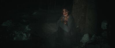 Master_mp43006.jpg