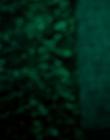 Filename=2023_-_The_American_aka_Joy_mp45804.jpg
Filesize=351KiB
Dimensions=1920x800
Date added=Jul 11, 2024 2023_-_The_American_aka_Joy_mp45804.jpg